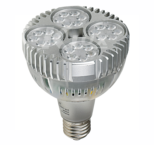 PAR30 LED-B